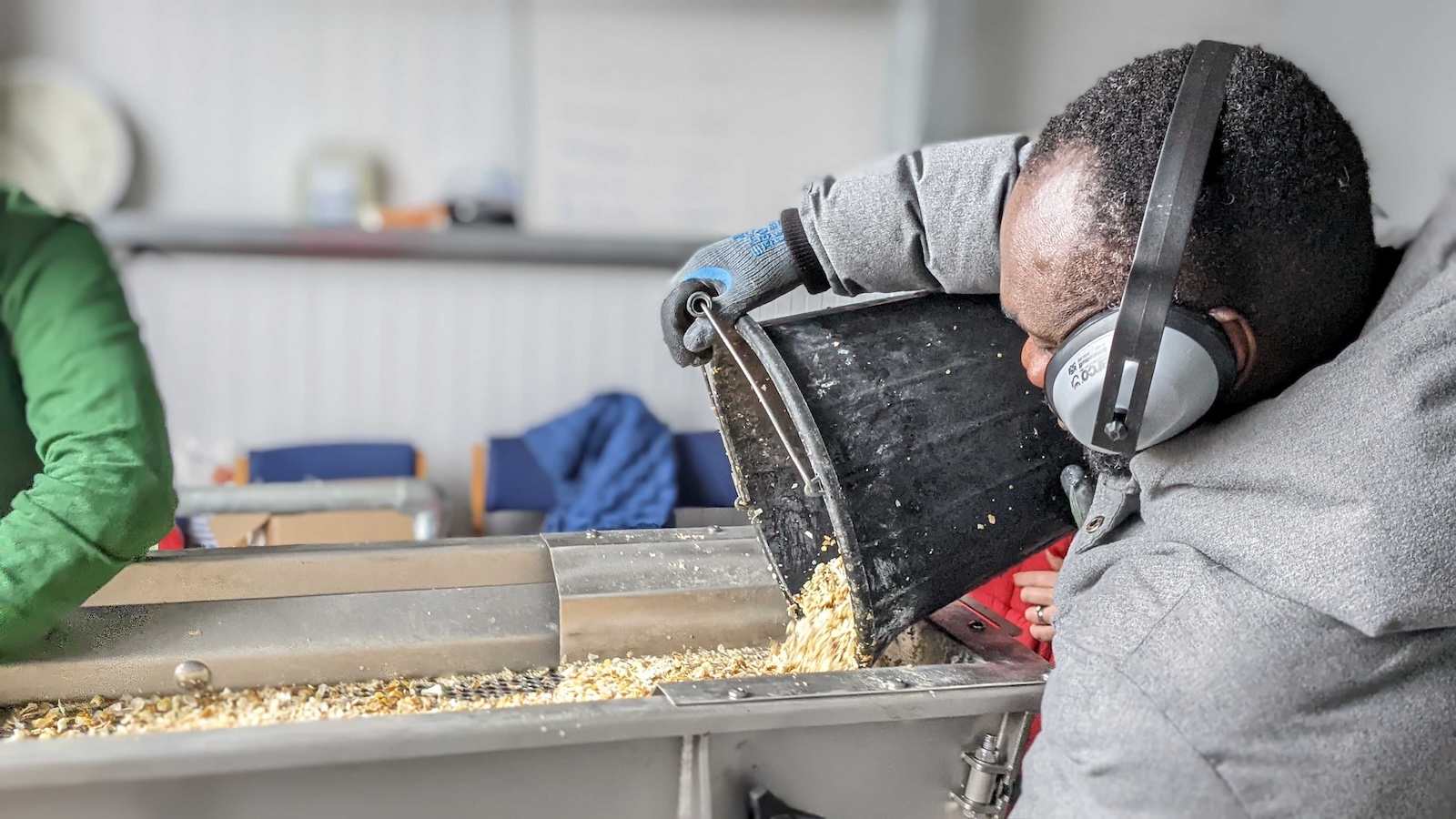 A man pours a bucket of shells.