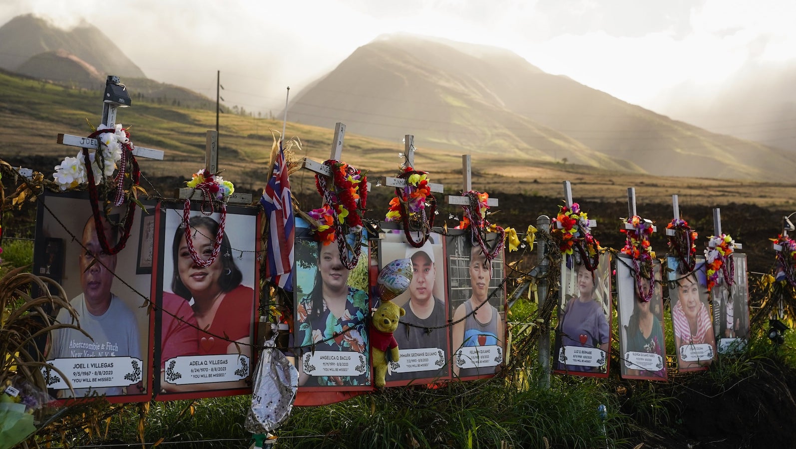 A photo of a roadside memorial to those who died in the deadly Maui fire last summer.